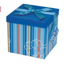 Caja de regalo mediana (15,4 x 15,4 x 15) azul